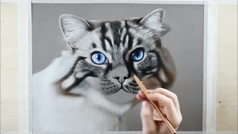 PHOTO-REALISTIC CAT DRAWING l Art - Time-Lapse