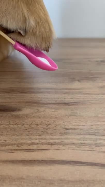 0.Do you know how to BALANCE eggs_ #shorts