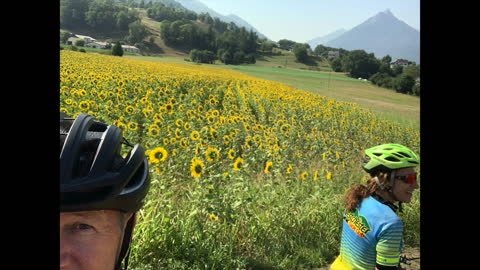 2022 TdF and Thomson Tour