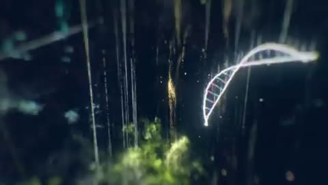 Questo è una vera "pubblicità" (di cosa poi!?!) di un ospedale pediatrico canadese