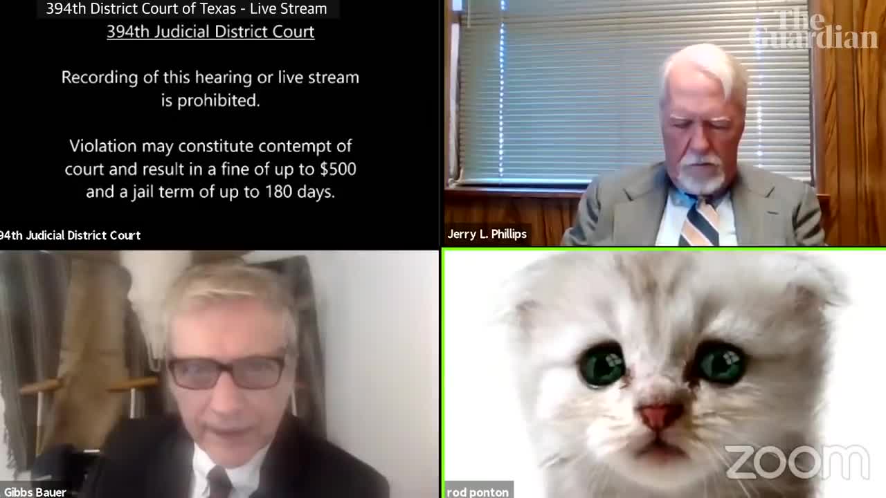 'I’m not a cat': lawyer gets stuck on Zoom kitten filter during court case