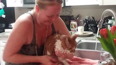 Kitty Wash