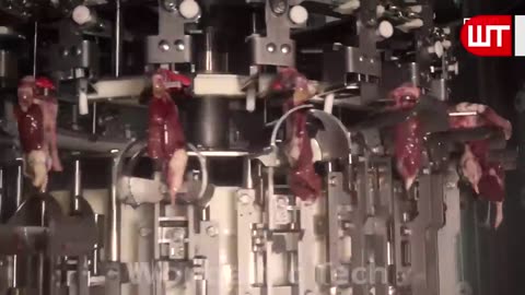 Modern Chicken Meat Processing Factory | Inside the Chicken Factory| WSJ TECH