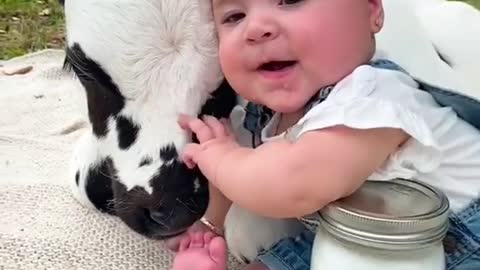 Baby with little cow child