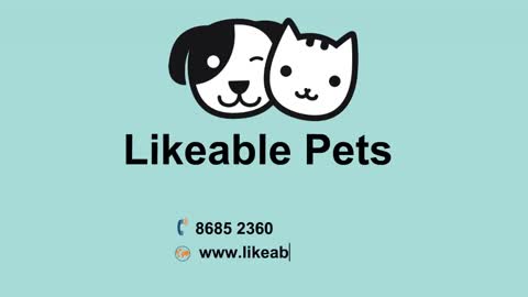 Mobile Pet Grooming Singapore | Likeable Pets