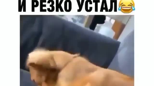 Когда резко устал