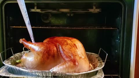 honey full chicken