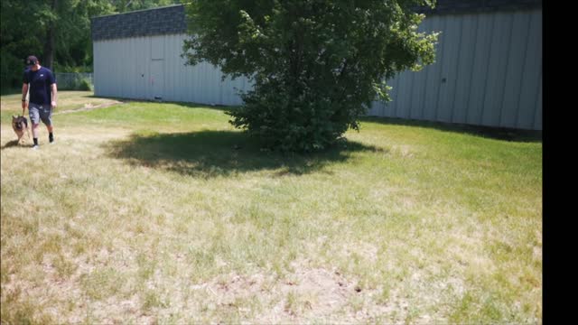 (Stop Barking) GERMAN SHEPHERD GOES CRAZY AGGRESSIVE ON LEASH!!