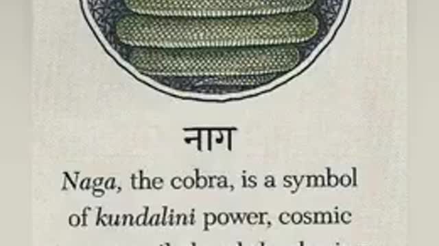 We Are NAGAS 🐍 Holy Serpents