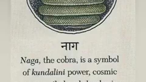 We Are NAGAS 🐍 Holy Serpents
