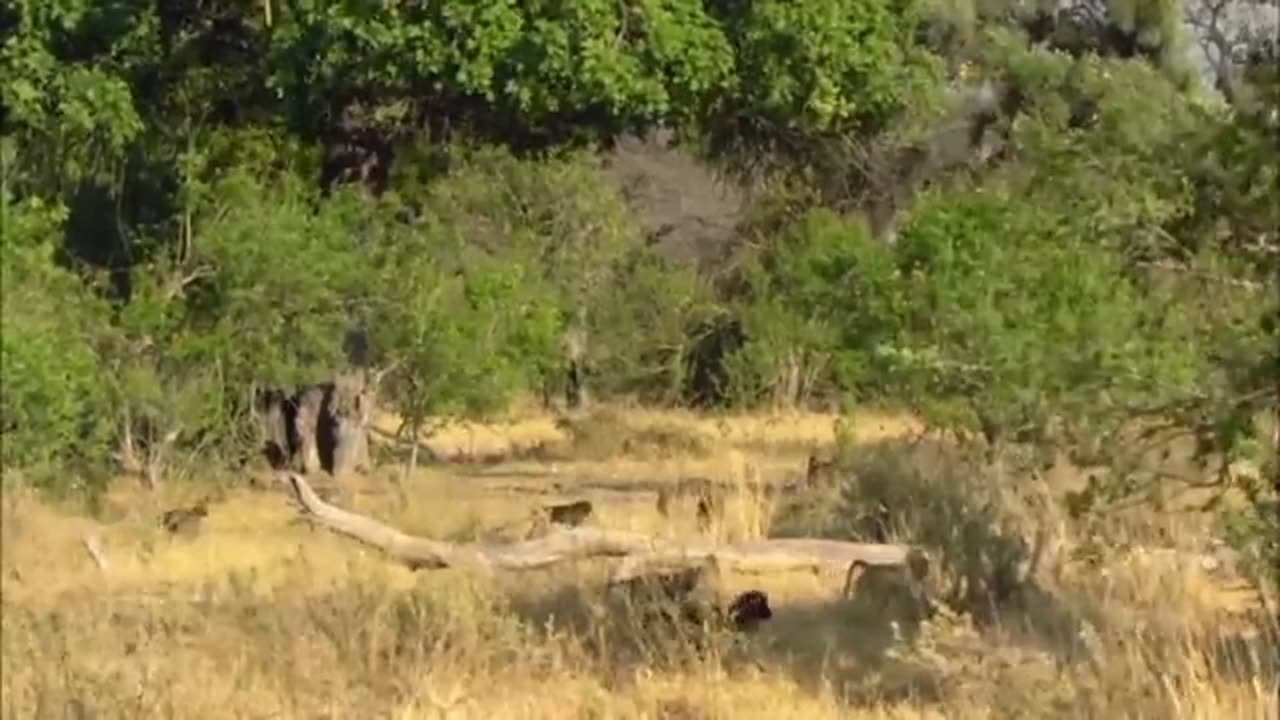 Natural Bhushan