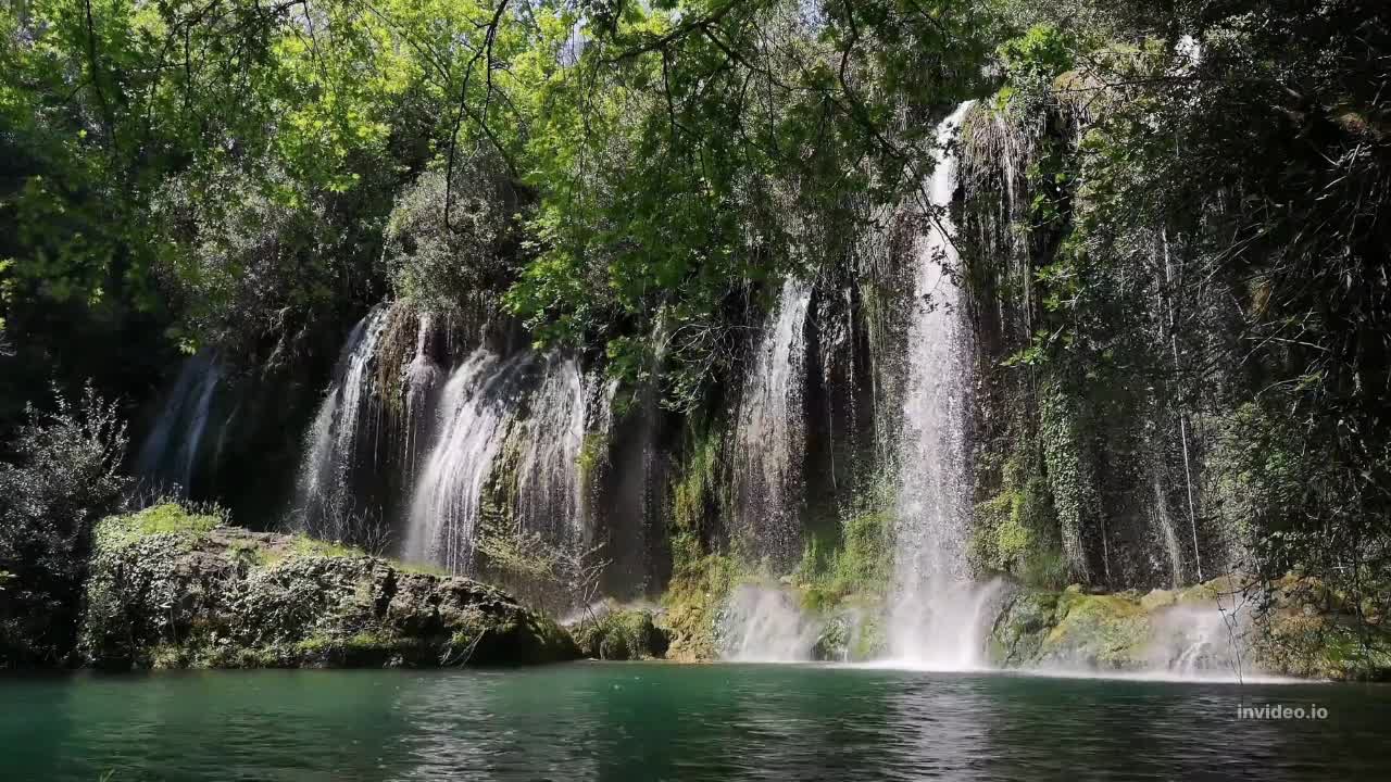 SOUNDS OF NATURE THAT CALM BODY AND MIND!
