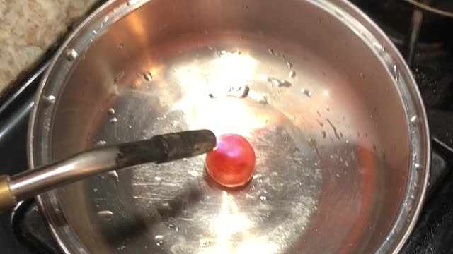 Torching a Tomato For Breakfast
