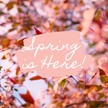 HAPPY SPRING DAY!