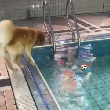 He wanted to not jump into the water