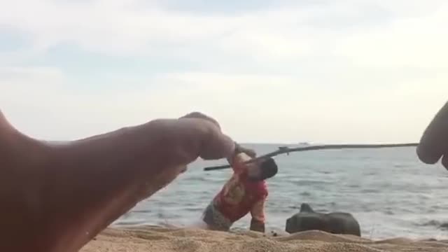 Funny Photography, Tik Tok.