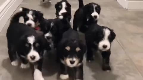 A group team walking for rounding
