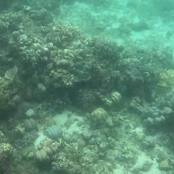 Perfect Day for a Snorkeling Adventure!