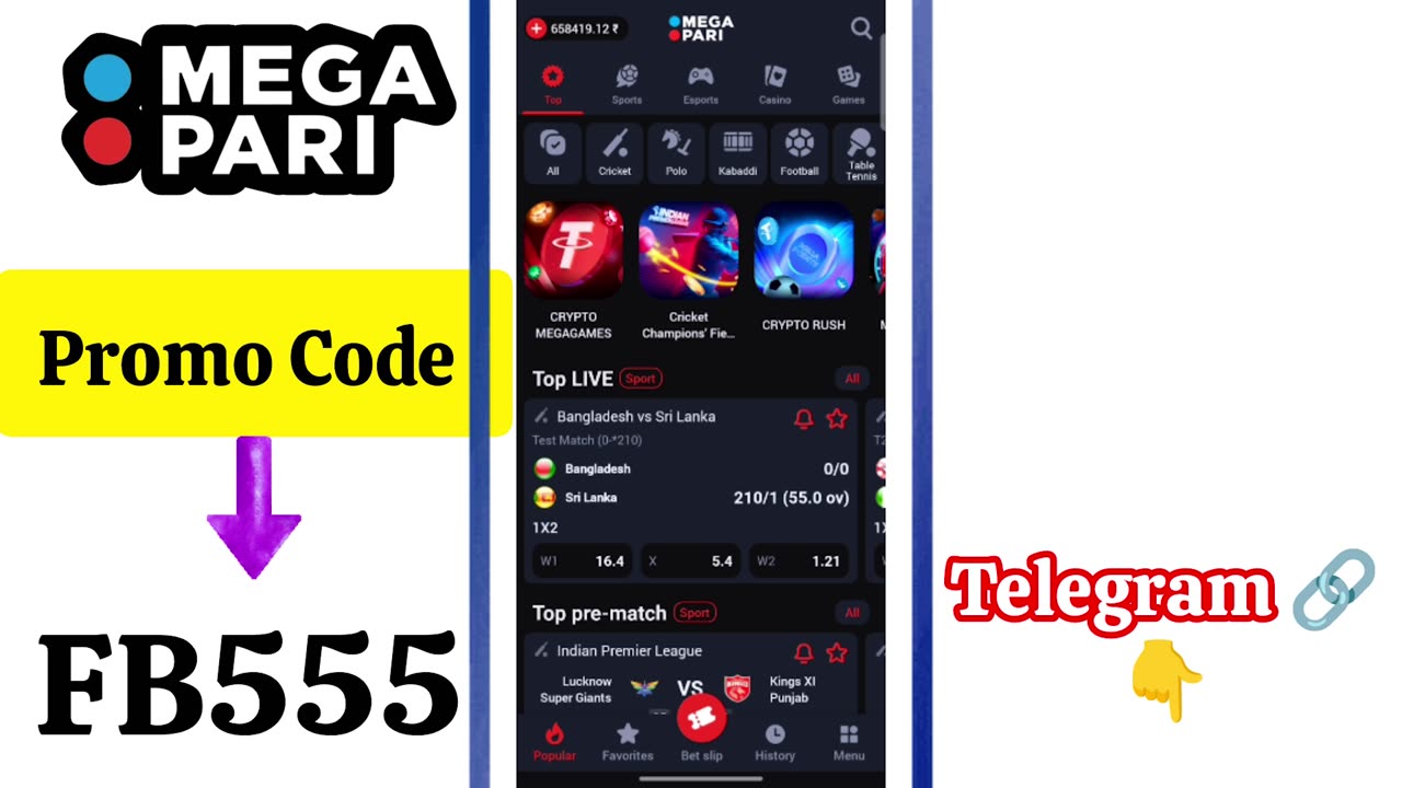 megapari application