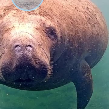 Pause, take a minute for yourself, and breathe with us 🎵