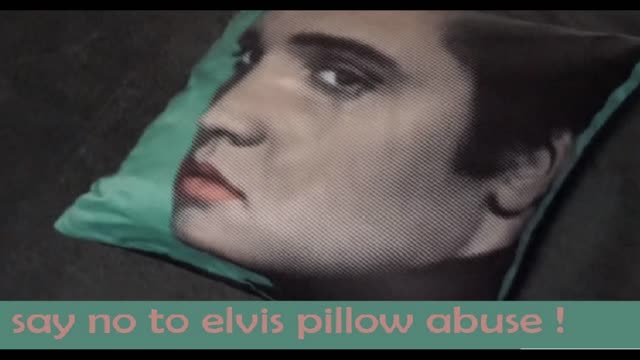 SAY NO TO ELVIS PRESLEY HATE
