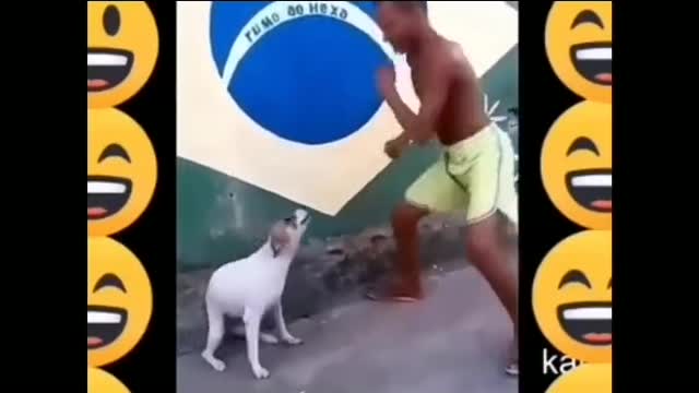 Doggy style NO! NO! NO! Doggy DANCE!!!