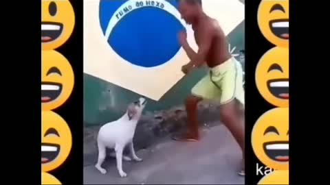 Doggy style NO! NO! NO! Doggy DANCE!!!