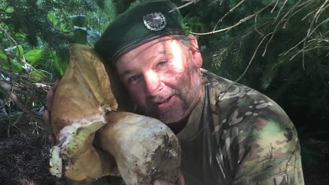 Man Finds Record Breaking Mushroom