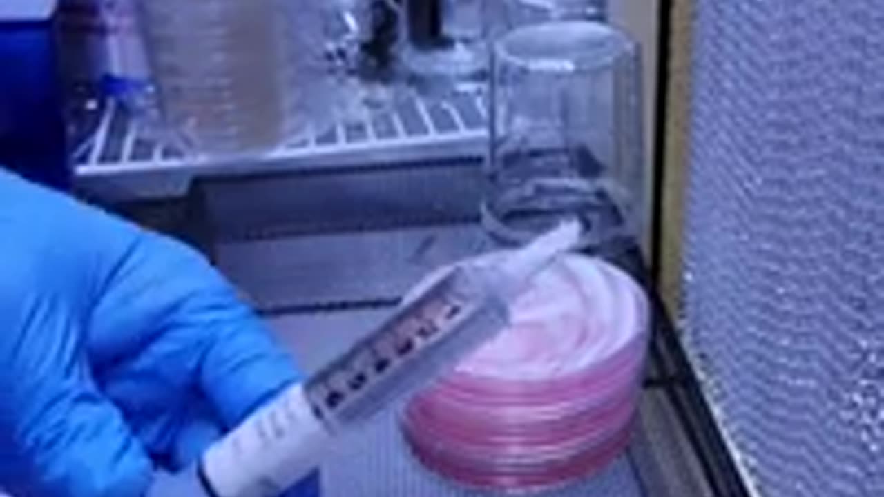 How to inoculate agar with a multispore syringe part 1