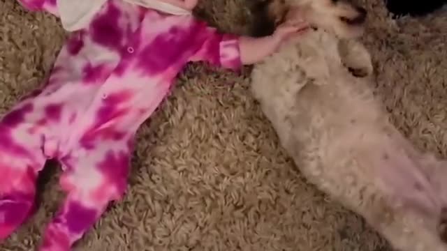 my Lucy loves playing with Babies