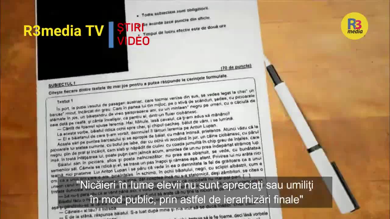 Prof. Univ. Adrian Papahagi și Ciprian Mihali critici dure: Să promovăm doar idioți