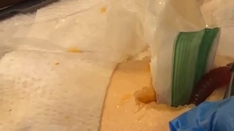 That came out of there...