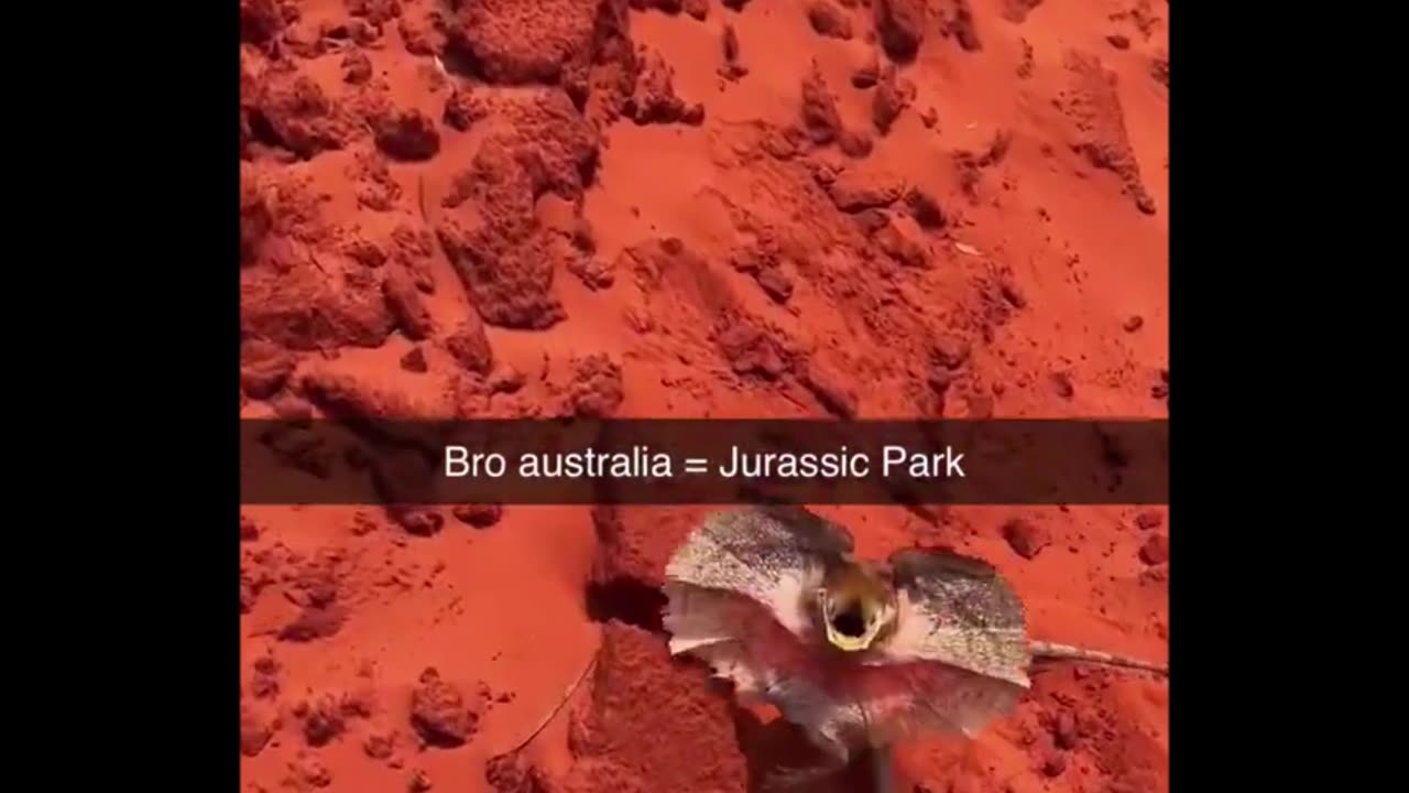 The wildlife over there is wild
