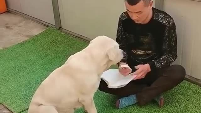 Omg so smart 😍🥰😘 #Dogs : 👉👉 Love Dogs 👈👈