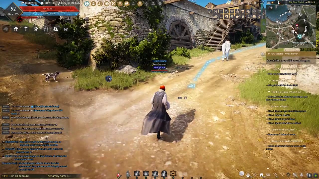 Black Desert Online - How to Auto Run