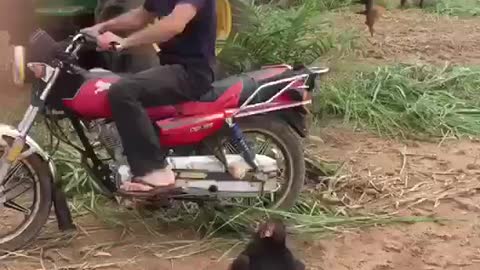 🤣 Funny video, LoL 😆😆😆
