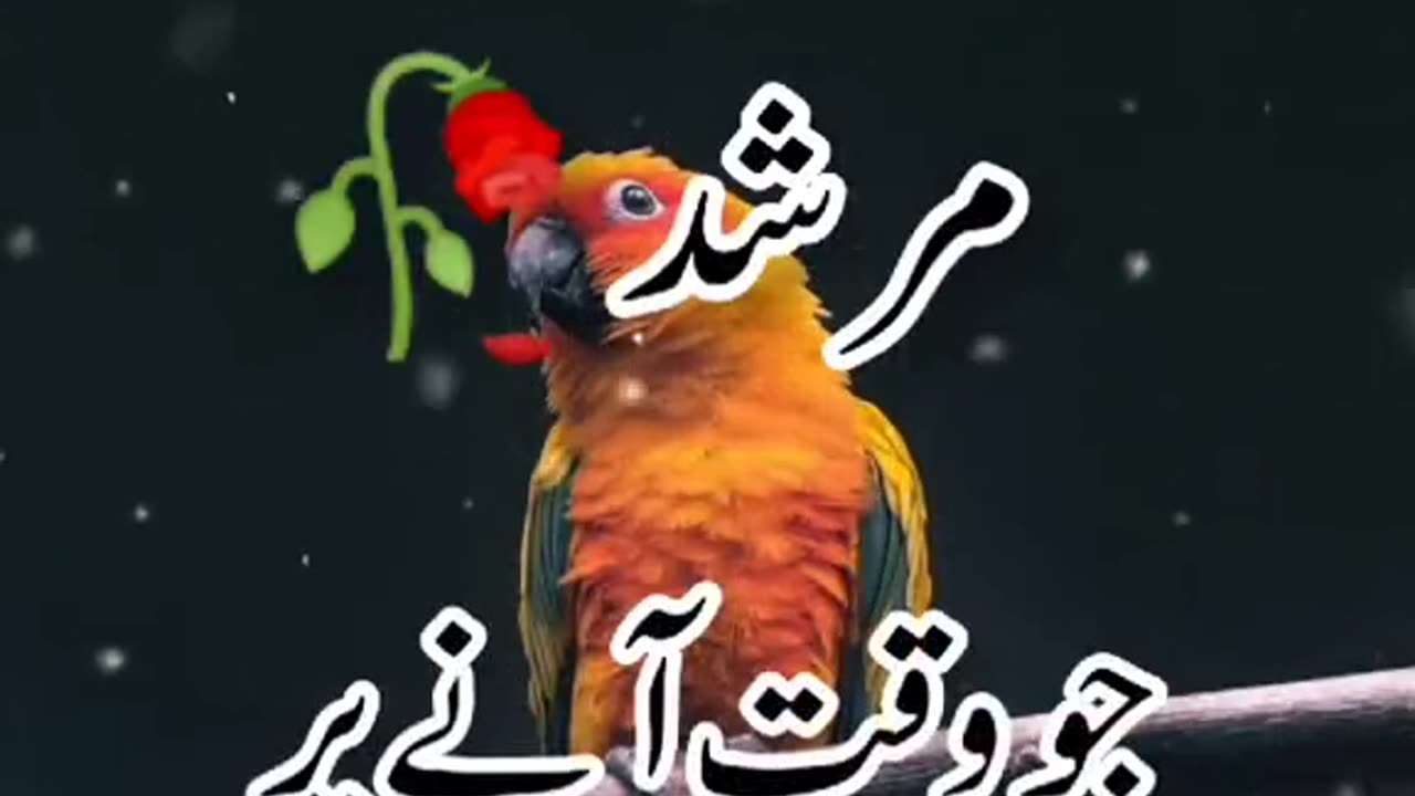 Best urdu poetry short