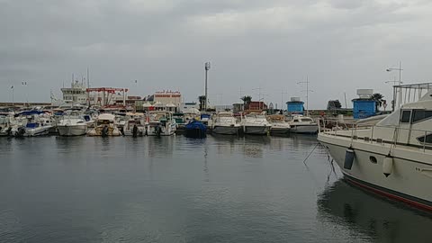 yachts in the port of Tunisia