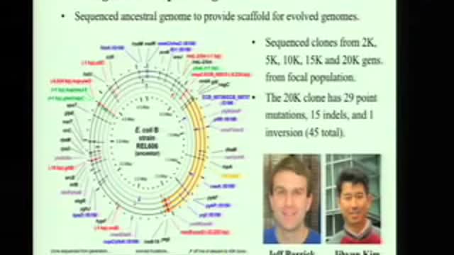 EVOLUTION FROM BACTERIA TO MAN NEVER HAPPENED ON THIS PLANET