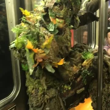 Man dressed as weed plant on train
