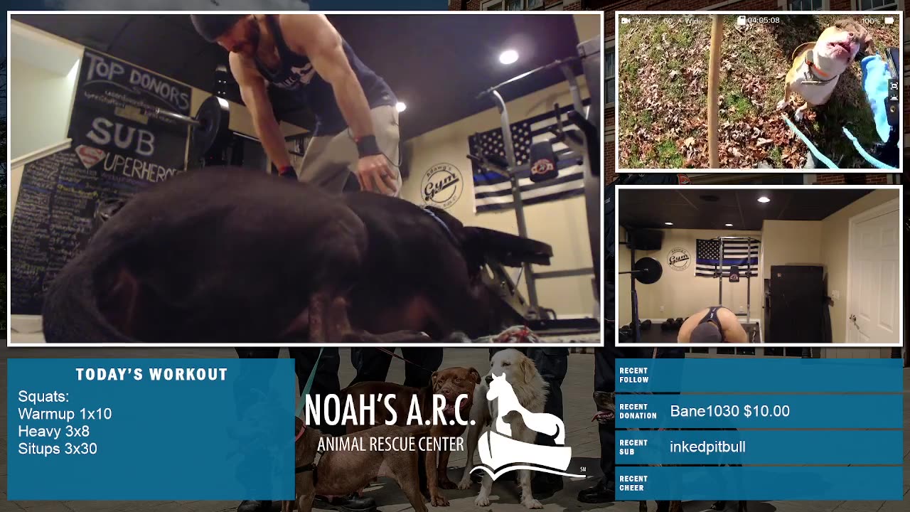 No Skip Leg Day! Gym Session w/Remy & Dufus [Week 7] // Animal Rescue Stream :)