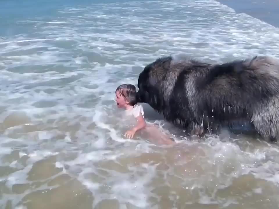 The whole family went swimming, told him to look after him and the ending