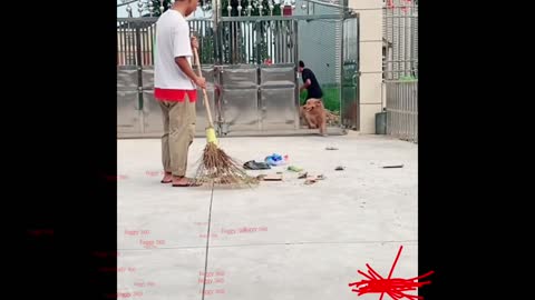 Funny dog & cat playing with uncle