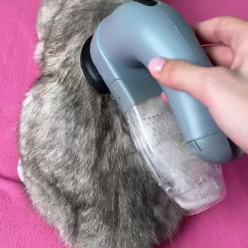 funny|prank|jokes|funny jokes|dad jokes|funny memes|funny video|fun|laughing|funny animal|knock