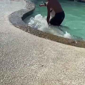 susie the swimmer dog training