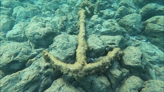 Scuba Diver Discovers 900-Year-Old Crusader Sword off the Carmel Coast