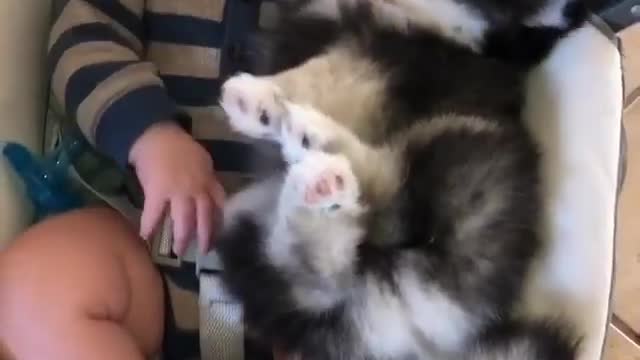 Sundays are for cuddles