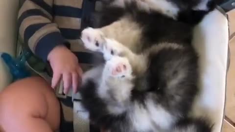 Sundays are for cuddles