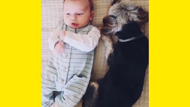 Baby enjoy with dog