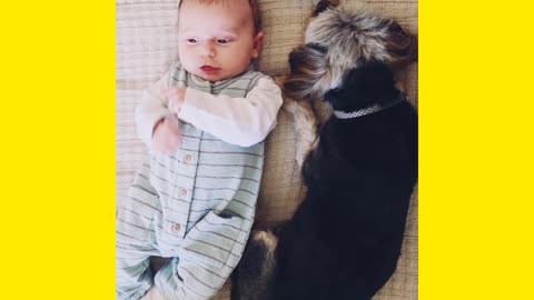 Baby enjoy with dog